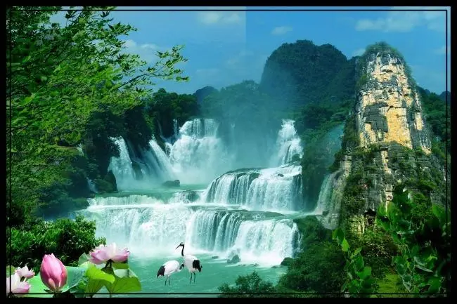 智能系统智能